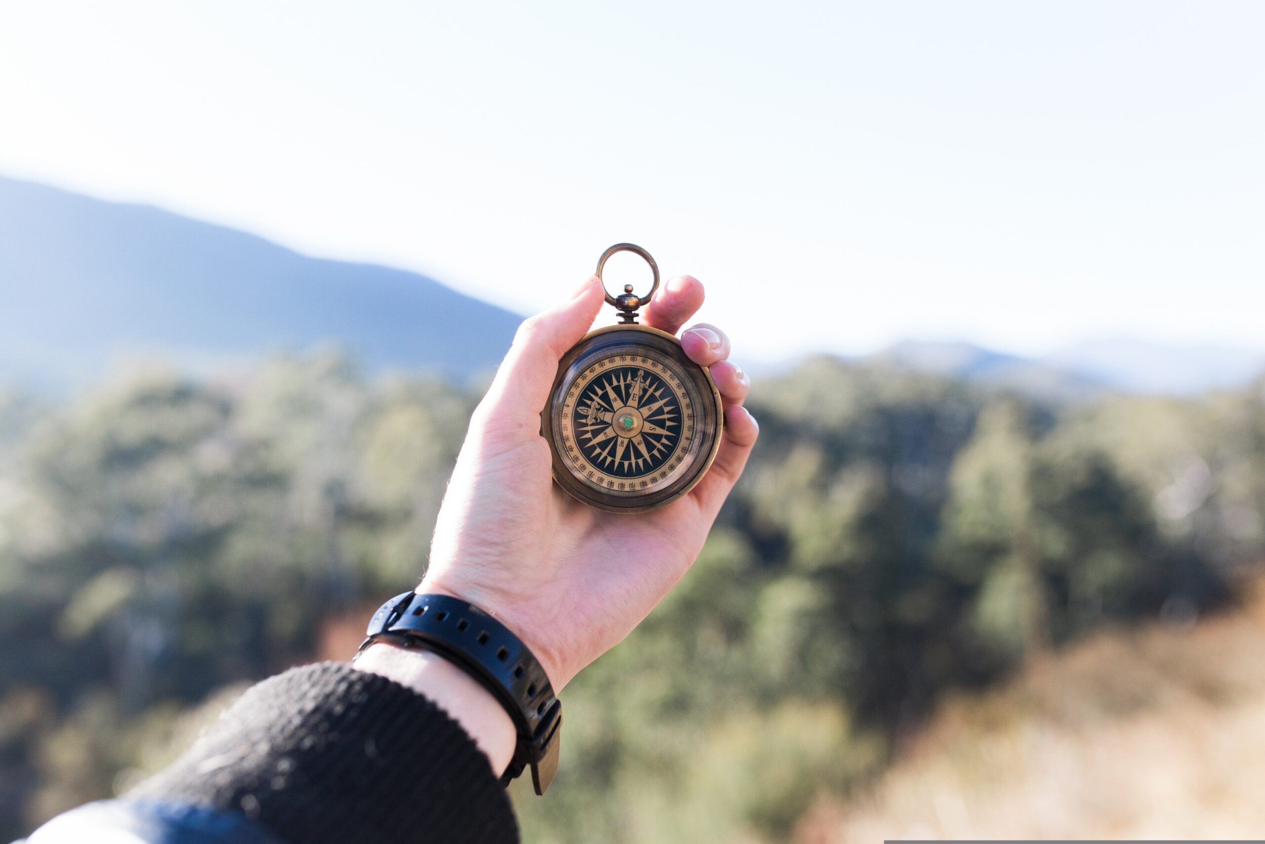 compass 1850673